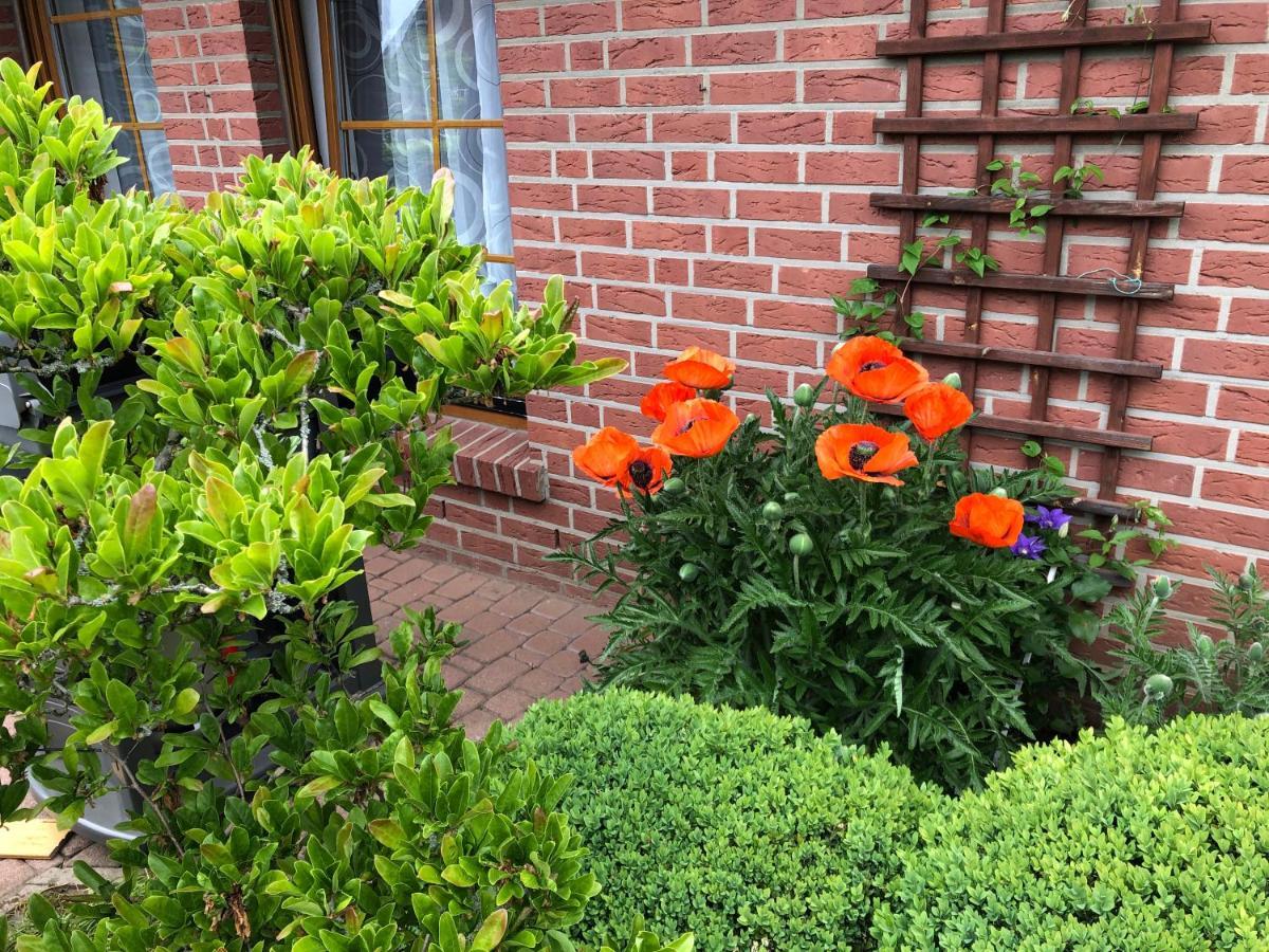Ferienwohnung Kleistring Obernkirchen Ngoại thất bức ảnh